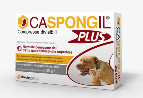 CASPONGIL PLUS 30 CPR