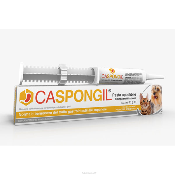 CASPONGIL PASTA 30 GR