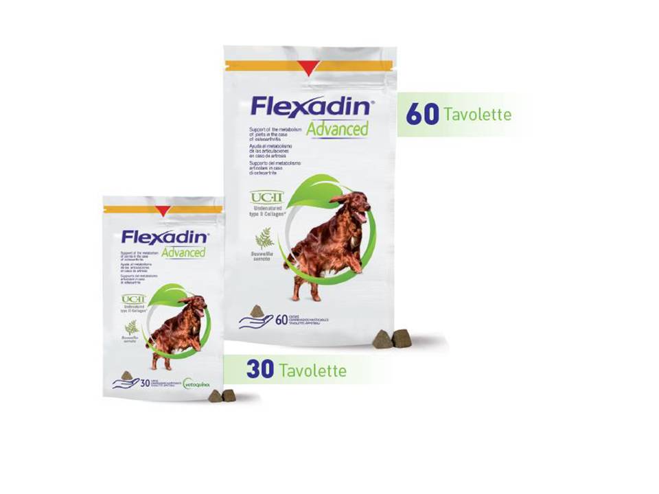 FLEXADIN ADVANCED 60 CPR APPETIBILI