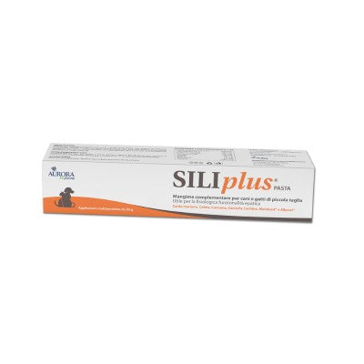 SILIPLUS PASTA 30 GR