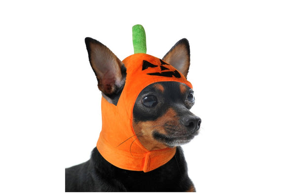 CAMON CUFFIA HALLOWEEN ZUCCA