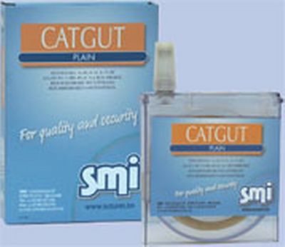 DISCOFLAC CATGUT PLAIN EP 8 30mt
