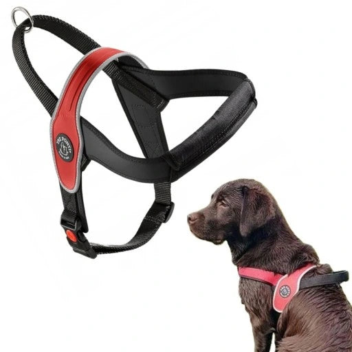 TRE PONTI CANE PETTORINA NORVEGESE TG XXL ROSSO